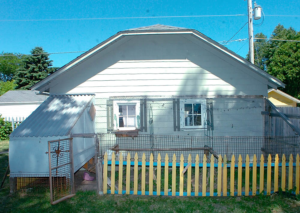 Backyard chicken coup. File photo.