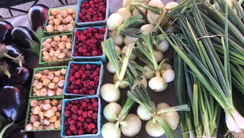 Kaukauna farmers market kicks off season Saturday Kaukauna Community News