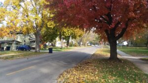 Fall leaves. Kaukauna Community News photo