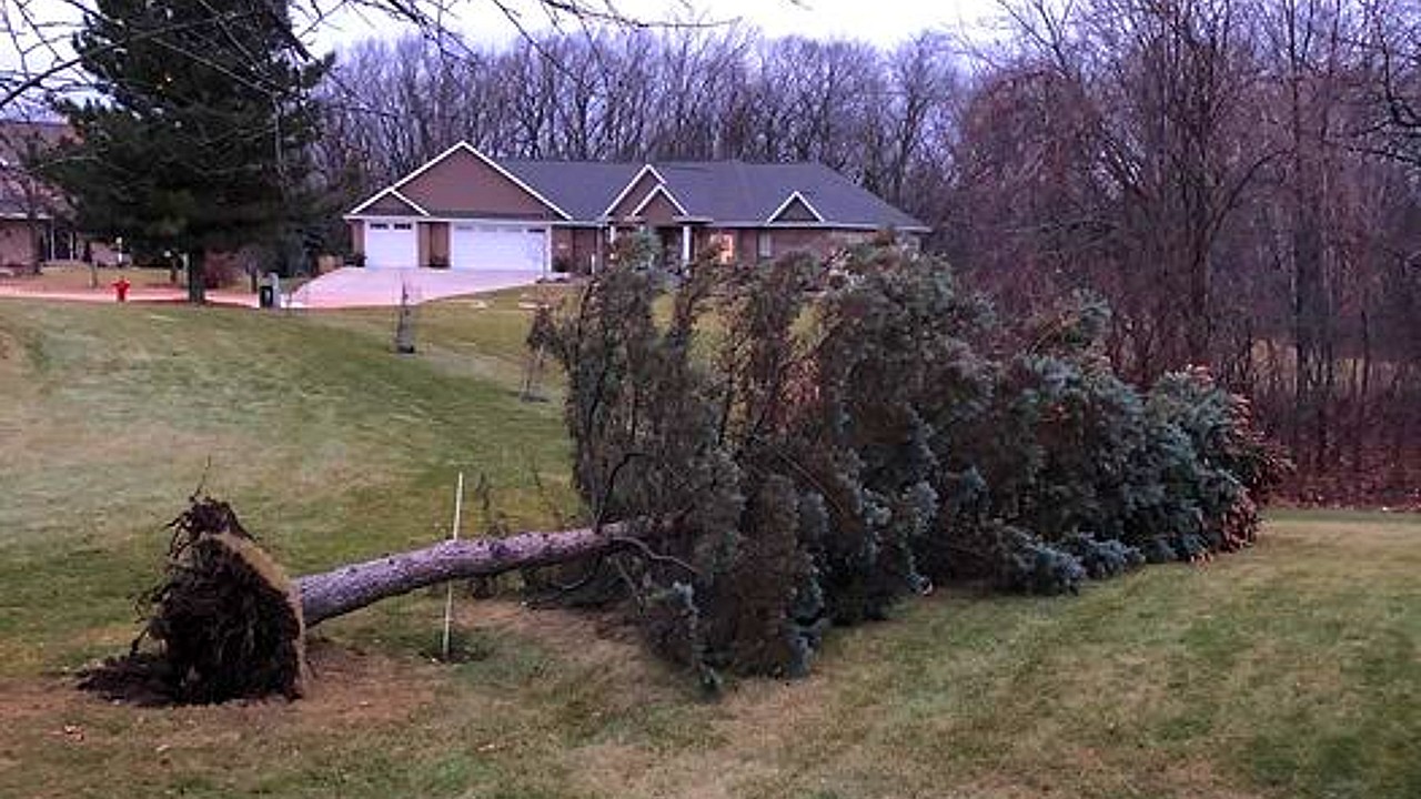 Paul Domack posted this photo online of a tree down following high winds overnight