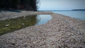 Low water reveals huge mounds of sea shells along the shore of Penininsula State Park in Door County, Wisconsin. DCSR photo by Dan Plutchak