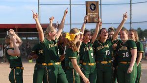 The Freedom Irish softball team celebrates its 2023 Sectional Final win, qualifying them for the Division 2 WIAA State Softball Tournament in Madison. Photo by Brian Fisher. More photos at Facebook.com/FischerPhotography.
