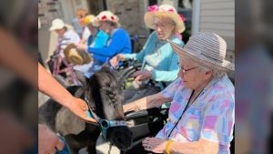  St. Paul Elder Services is celebrating 80 years of caring this month with several community events.