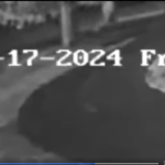 Wrightstown police release surveillance video taken just after arson fire