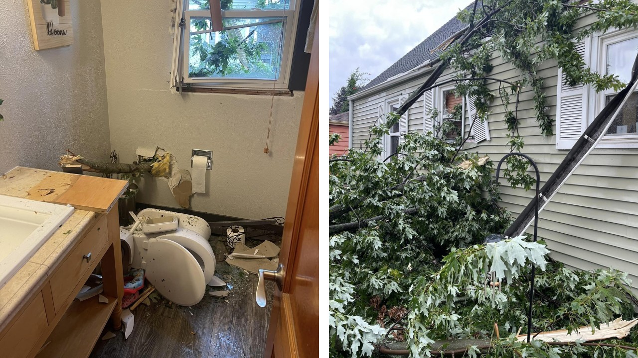 Fox Valley resident experiences near-miss in bathroom when tree falls through wall