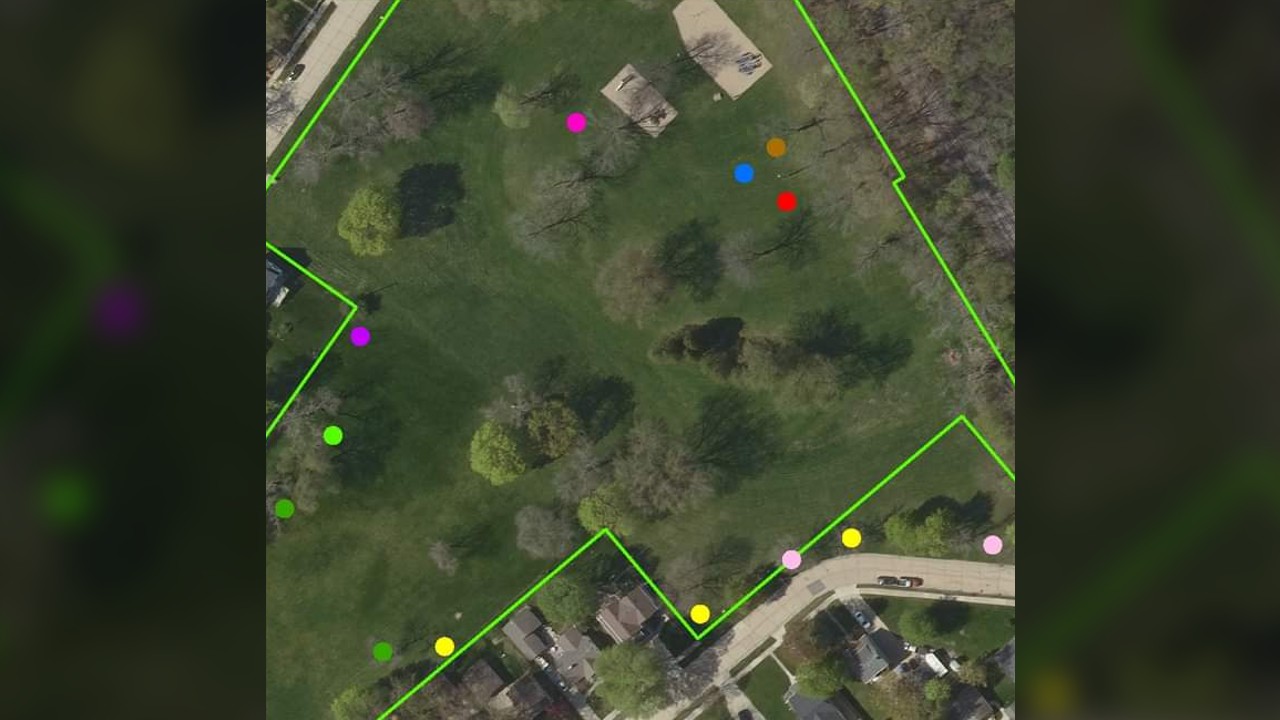 Contractors will be removing tree stumps in White City Park this week from trees taken down because the of Emerald Ash borer infestation.