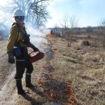 Do you see smoke on the horizon? It’s controlled burn season