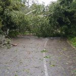 State Park damage from Saturday storm in Door County widespread, DNR says