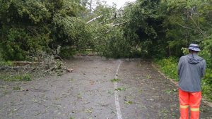 Trump administration denies disaster assistance for Door and five other Wisconsin counties