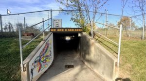 Girl Scouts propose mural for tunnel under CE trail near Kaukauna’s Quinney Elementary