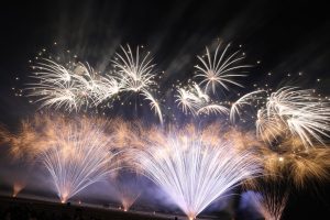 Fireworks Festival to feature professional training, blood drive and charity priced tickets