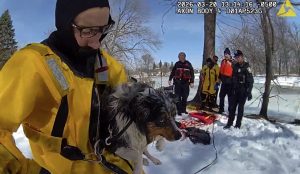 Dog rescued after falling through ice while chasing squirrel in Ashwaubenon