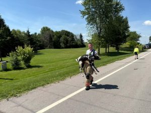 80 calves safe after pickup pulling trailer catches fire