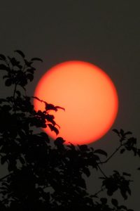 Wildfire haze expected to worsen over the next few days