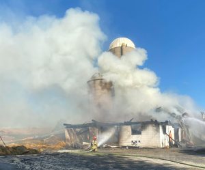 Three horses die in barn fire near Seymour
