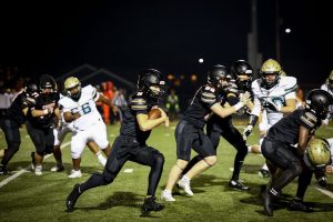 Roundup: Ghosts face Pulaski at home in Level 2