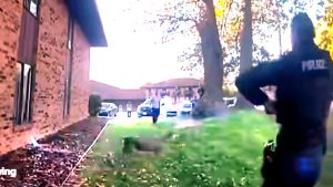 WILD VIDEO: Appleton police respond to apartment intruder; turns out to be a deer